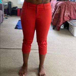 LOFT Orange Dress Pants
